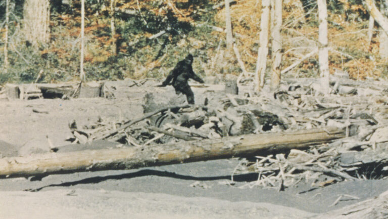 ‘Capturing Bigfoot’ Review: Cultural Mystery Meets Family History in a Captivating and Revelatory Doc – The Hollywood Reporter