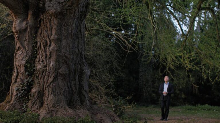 Indie Film Box Office: ‘Silent Friend’, ‘Blue Film’ Top Limited Debuts