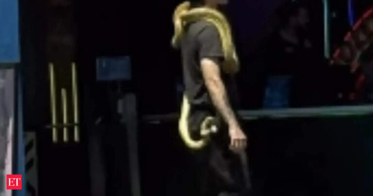 ‘Watch out for that Snake’: Man unveils exotic snakes on Hollywood Walk of Fame as he flees from cops; watch chilling visuals here ‘Watch out for that Snake’: Man unveils exotic snakes on Hollywood Walk of Fame as he flees from cops; watch chilling visuals here