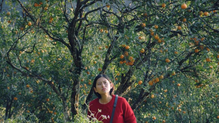 Shape of Momo Movie Review: A Tender Sikkimese Coming-of-Age Drama on Belonging, Patriarchy and Homecoming Shape of Momo Movie Review: A Tender Sikkimese Coming-of-Age Drama on Belonging, Patriarchy and Homecoming